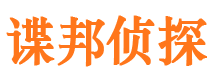 芦淞市私家侦探